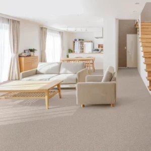 Carpet flooring | Battle Creek Tile & Mosaic