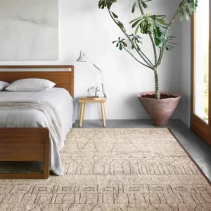 Loloi Area rug | Battle Creek Tile & Mosaic